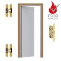 8393-063-Fire Rated Ultra Flush Hinged Door With Magnetic Latch