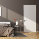 Ultra Flush Door