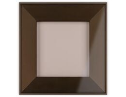 11544-009-Aluminium Framed Glazed Door With Bronze Tinted Glazing
